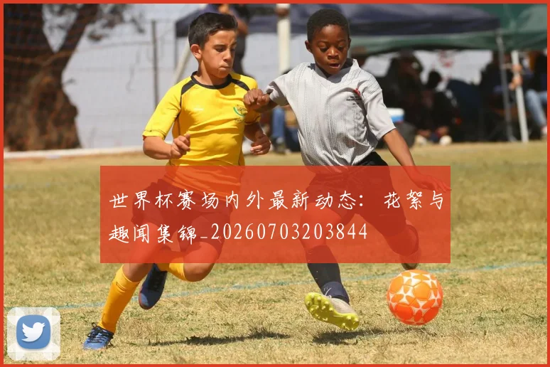 世界杯赛场内外最新动态：花絮与趣闻集锦_20260703203844