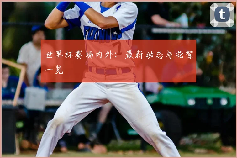 世界杯赛场内外：最新动态与花絮一览