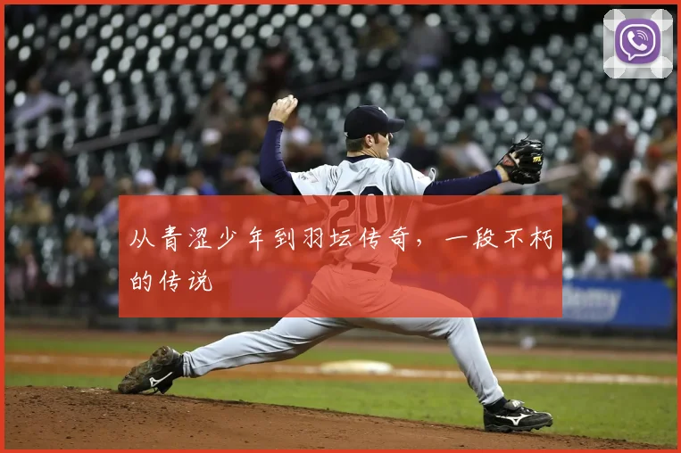 从青涩少年到羽坛传奇，一段不朽的传说